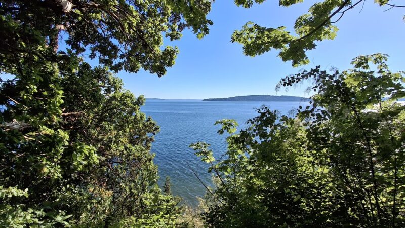 Valley Loop Trail - Normandy Park, WA