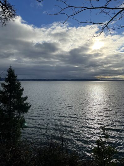 Valley Loop Trail - Normandy Park, WA