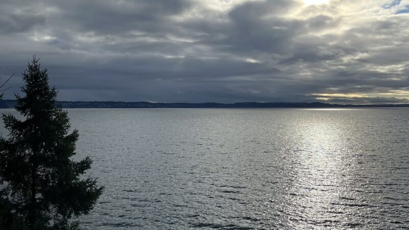 Valley Loop Trail - Normandy Park, WA