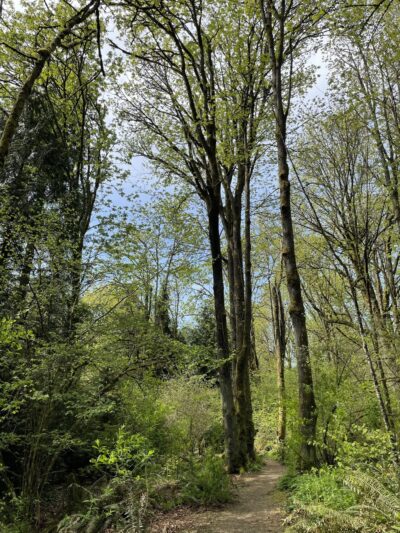 Walker Preserve - Normandy Park, WA