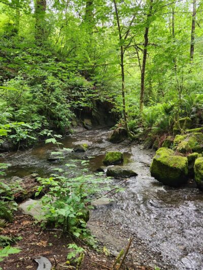 Walker Preserve - Normandy Park, WA