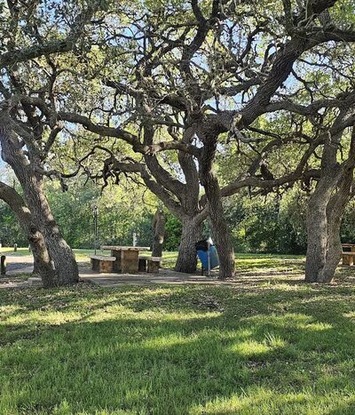 Early Trails In Bee Country - Normanna, TX