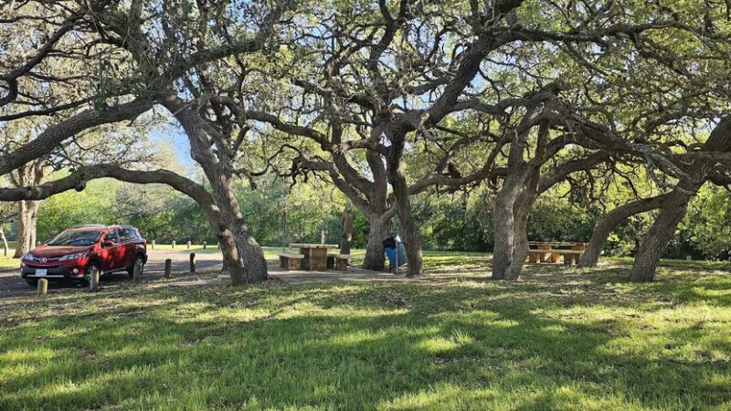 Early Trails In Bee Country - Normanna, TX