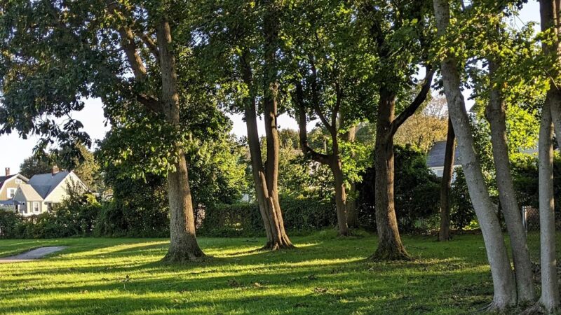 Aplin Park - North Andover, MA