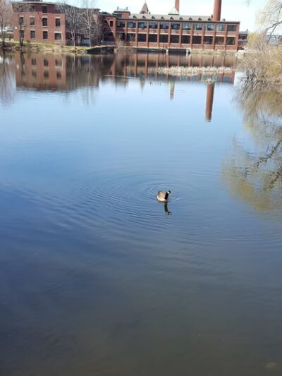Aplin Park - North Andover, MA