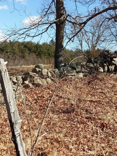 Foster Farm Fields - North Andover, MA