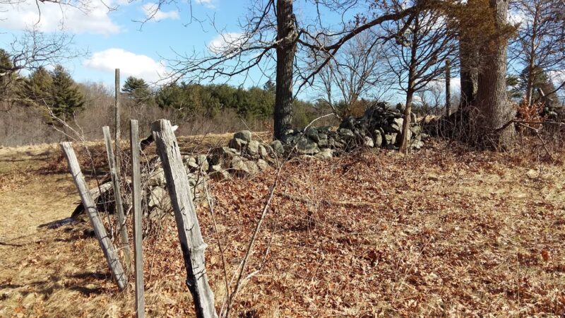 Foster Farm Fields - North Andover, MA