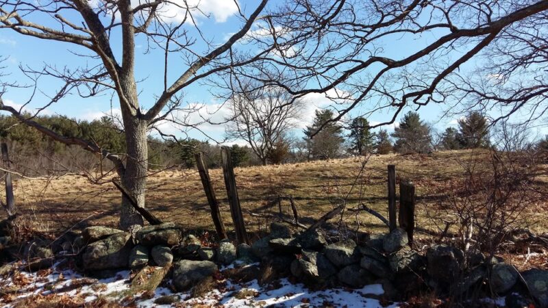 Foster Farm Fields - North Andover, MA
