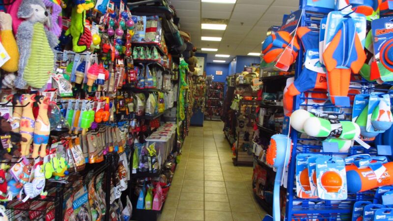 Dawg City Pet Supply and Nutrition Center - North Andover, MA