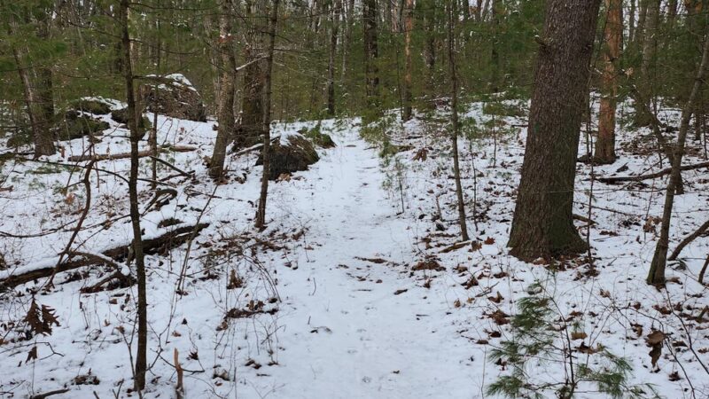 Reynolds Playground - North Andover, MA