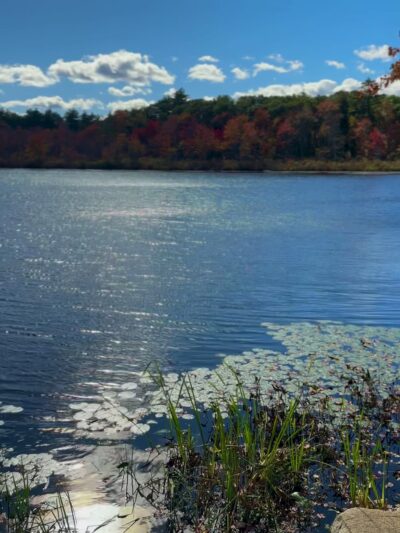 Stevens Pond - North Andover, MA