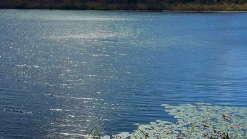Stevens Pond - North Andover, MA