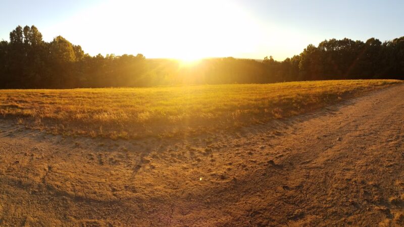 Stevens Pond - North Andover, MA