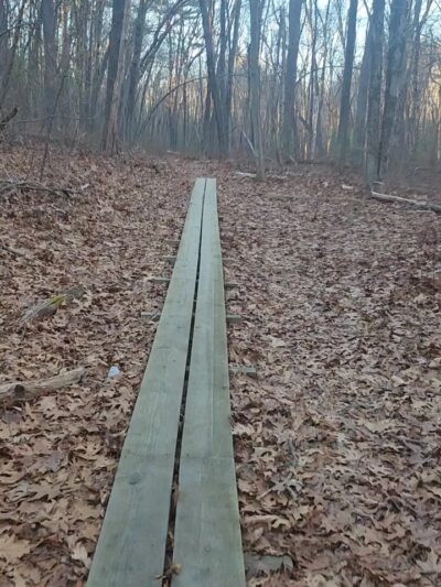 Town Farm Forest - North Andover, MA