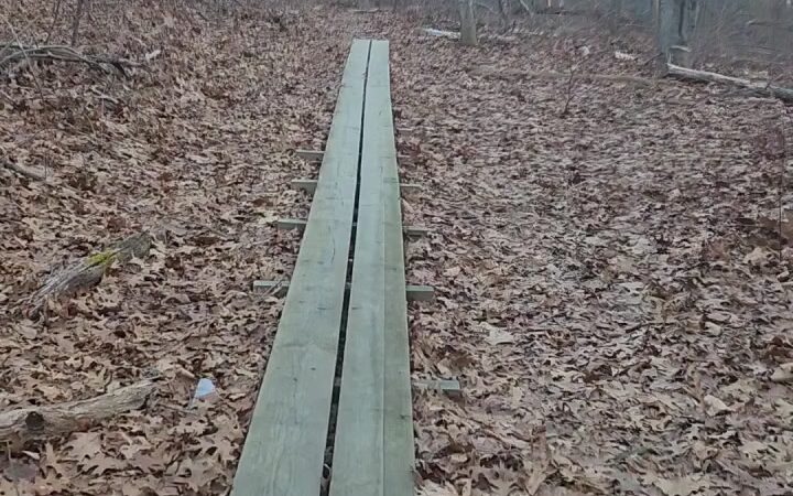 Town Farm Forest - North Andover, MA