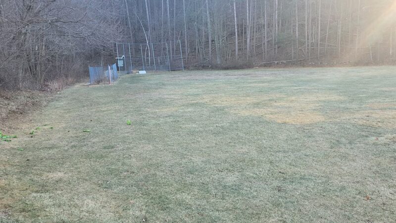 Town Farm Forest - North Andover, MA