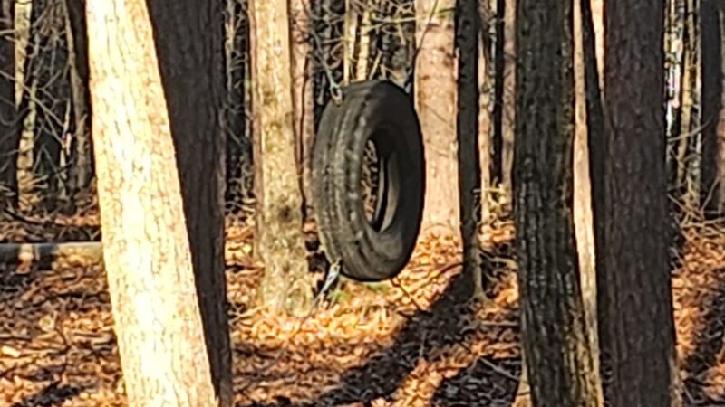 Town Farm Forest - North Andover, MA