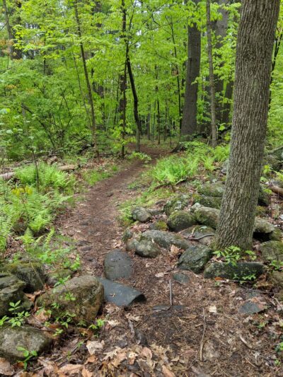 Weir Hill - North Andover, MA