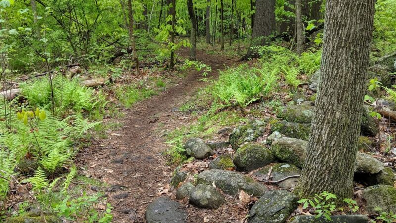 Weir Hill - North Andover, MA