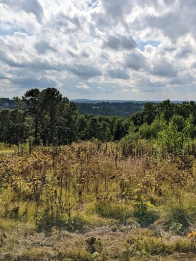Weir Hill - North Andover, MA