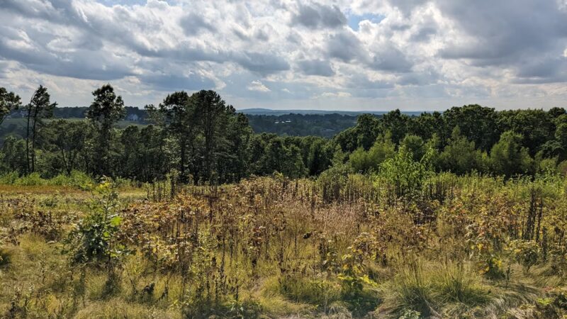 Weir Hill - North Andover, MA