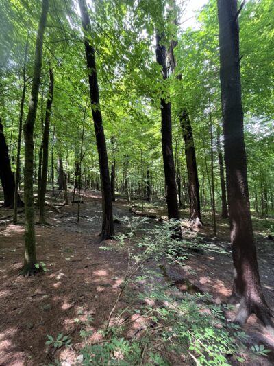 Weir Hill - North Andover, MA