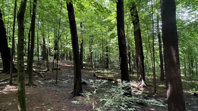 Weir Hill - North Andover, MA
