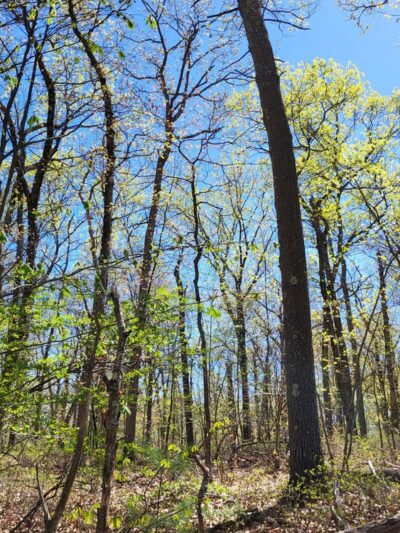 World War Park - North Attleborough, MA