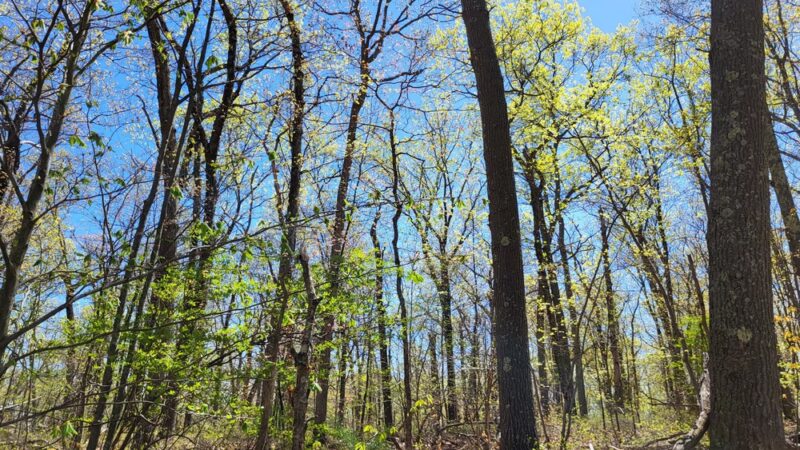 World War Park - North Attleborough, MA