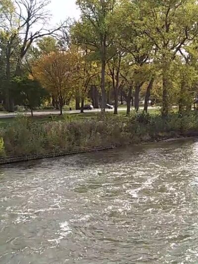North Aurora Island Park - North Aurora, IL