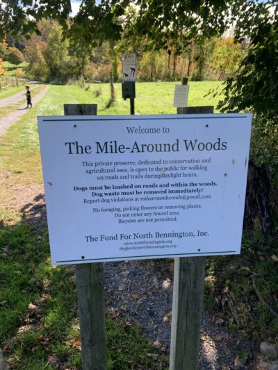 The Mile-Around Woods - North Bennington, VT