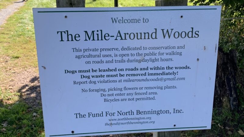 The Mile-Around Woods - North Bennington, VT