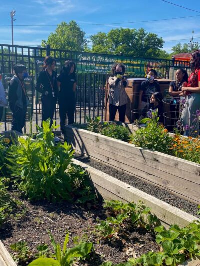 James J. Braddock Community Garden in North Bergen - North Bergen, NJ