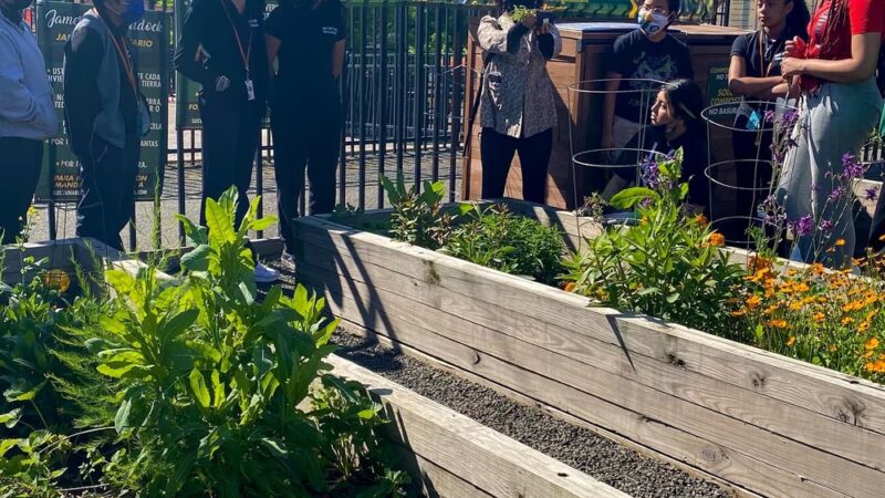 James J. Braddock Community Garden in North Bergen - North Bergen, NJ