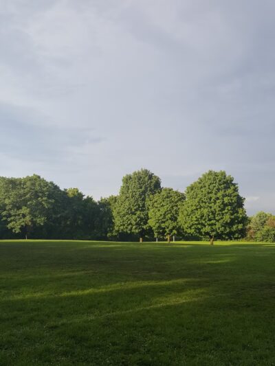 Timberlawn Local Park - North Bethesda, MD