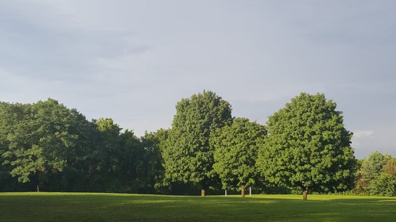 Timberlawn Local Park - North Bethesda, MD