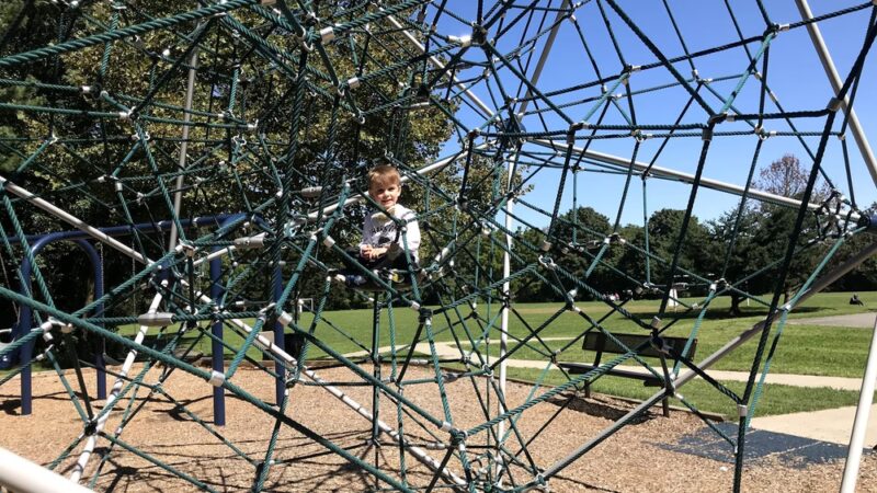Timberlawn Local Park - North Bethesda, MD