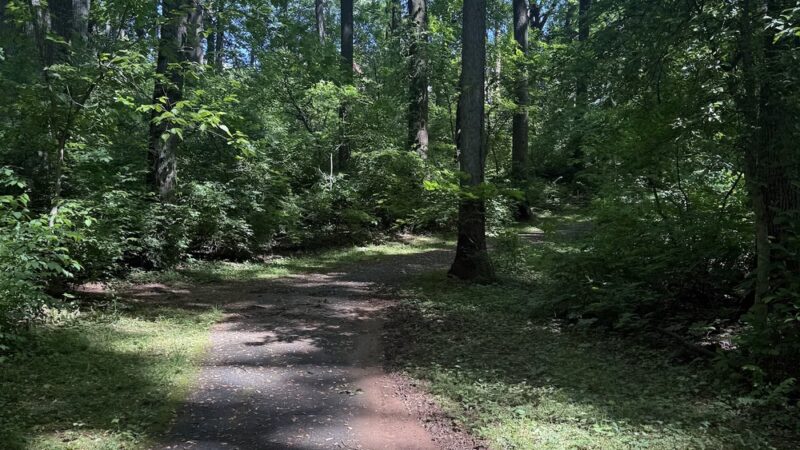 Timberlawn Local Park - North Bethesda, MD