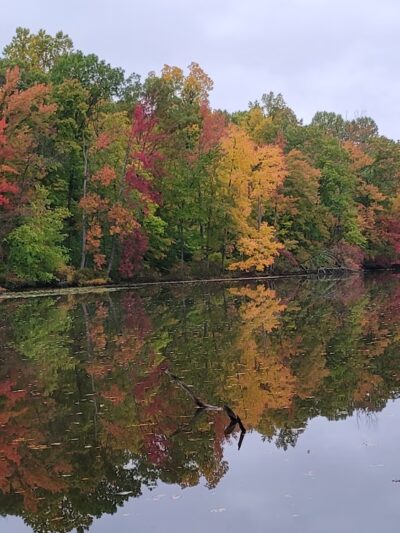 Mill Pond Trail - North Brunswick Township, NJ