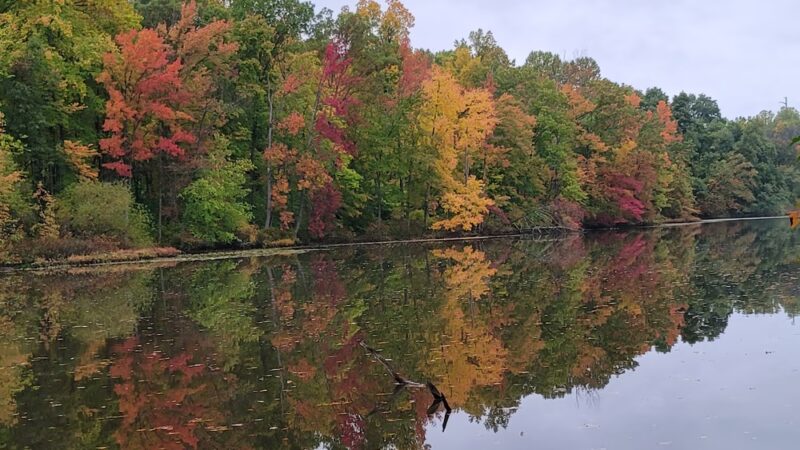 Mill Pond Trail - North Brunswick Township, NJ