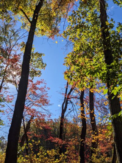 Mill Pond Trail - North Brunswick Township, NJ