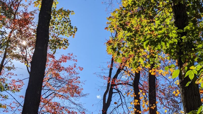 Mill Pond Trail - North Brunswick Township, NJ