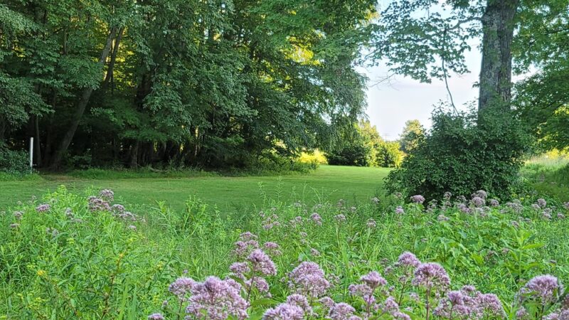 Mill Pond Trail - North Brunswick Township, NJ