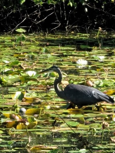 Mill Pond Trail - North Brunswick Township, NJ