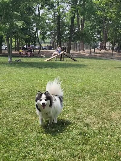 Ariss Park - North Canton, OH