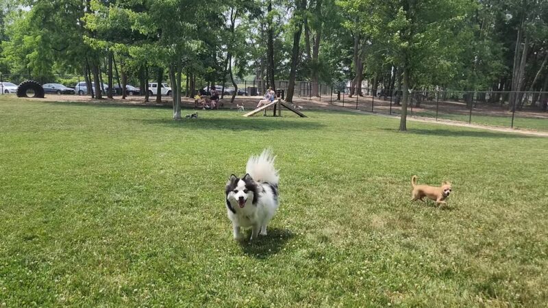 Ariss Park - North Canton, OH