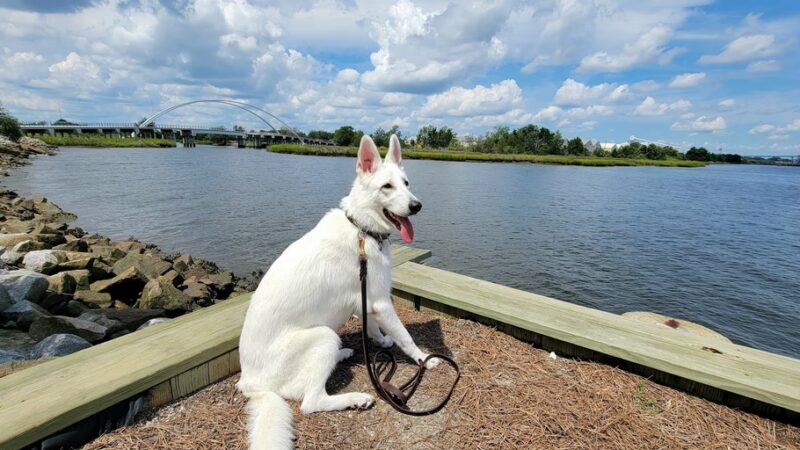 Riverfront Park Playground - North Charleston, SC