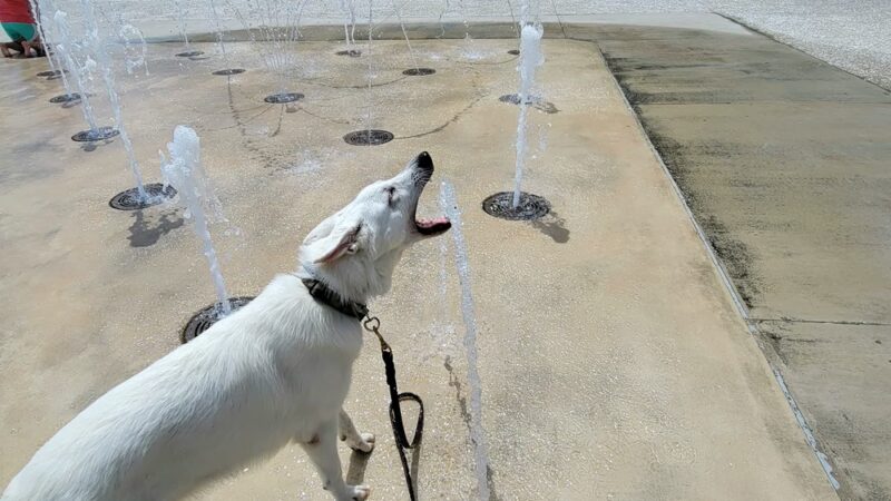 Riverfront Park Playground - North Charleston, SC
