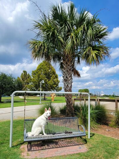 Riverfront Park Playground - North Charleston, SC