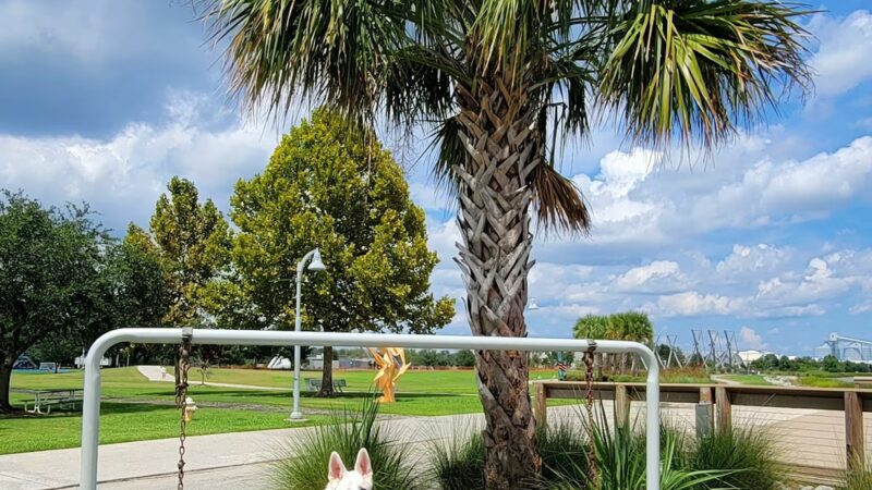 Riverfront Park Playground - North Charleston, SC